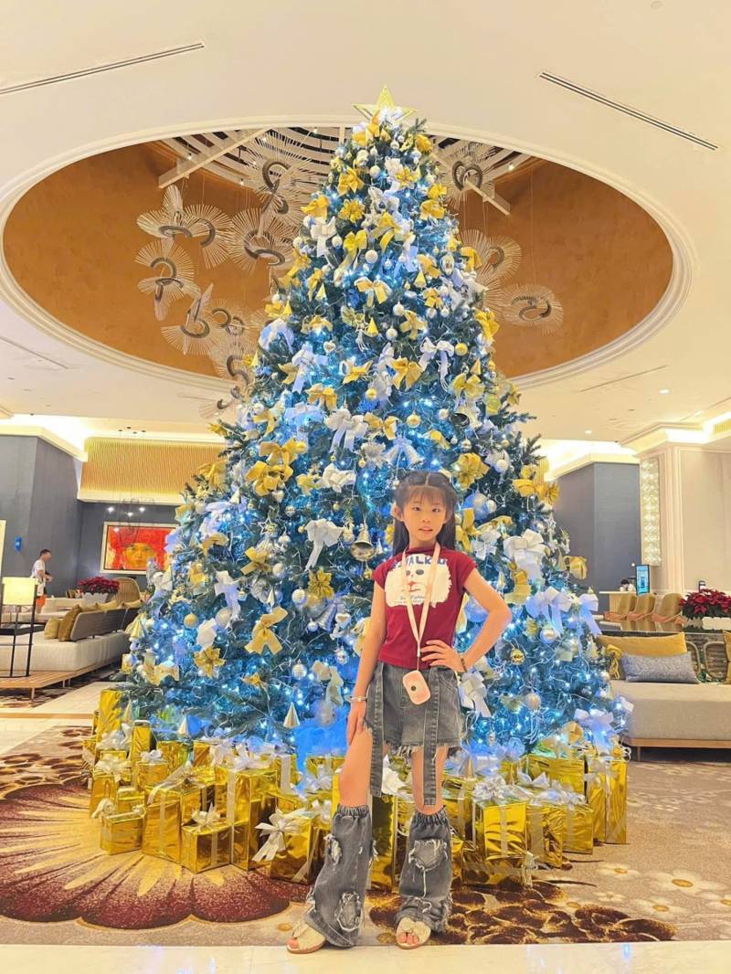 Báo Giá Trang Trí Cây Thông Noel Tại Quận Gò Vấp. Ảnh 1